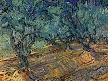 Vincent Van Gogh : Olive Grove, Bright Blue Sky
